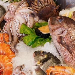 MARISCOS
